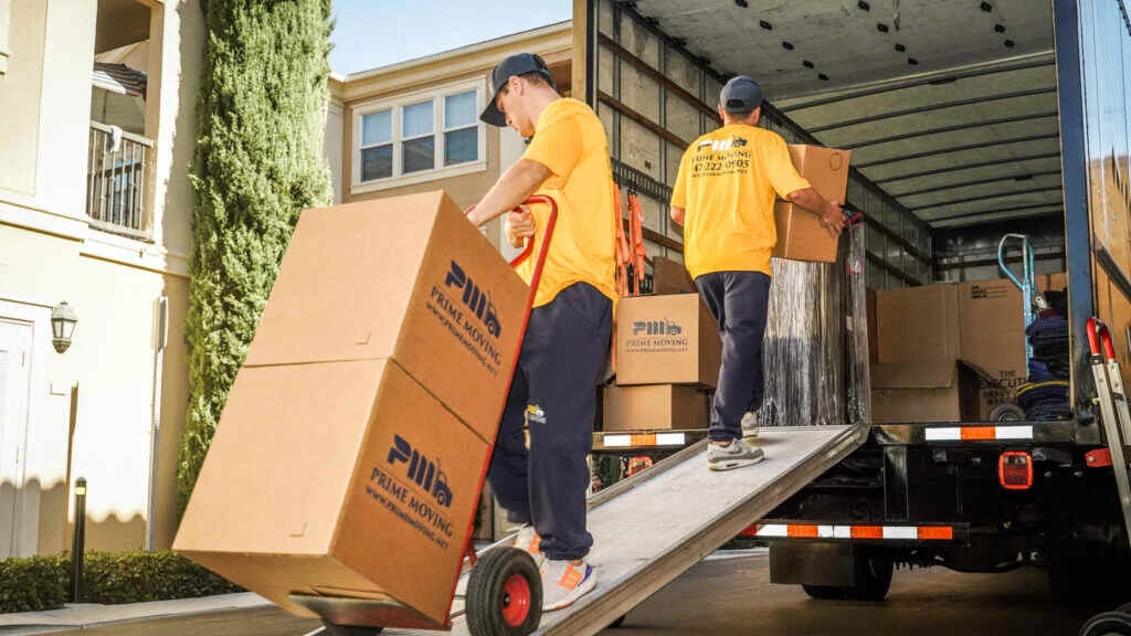 local moving services in Dubai -Goodwave cargo
